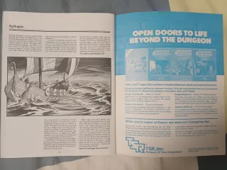 Dungeons & Dragons Expert Rulebook