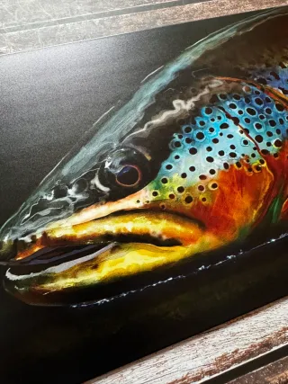 CARTEL CHAPA PESCA TRUCHA COMUN 