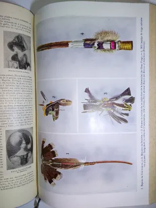 Enciclopedia Universal Ilustrada  Vintage