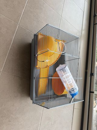 Jaula Hámster