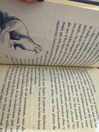 La Princesa de los Hielos de Tea Stilton