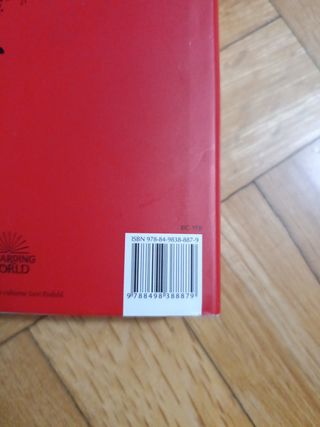 Harry Potter y la piedra filosofal Gryffindor