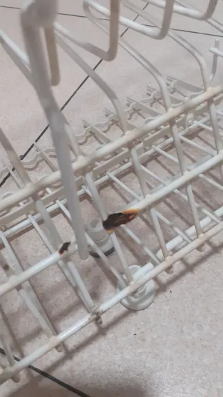 CESTA SUPERIOR LAVAVAJILLAS FAGOR MODELO 1VF-453IT