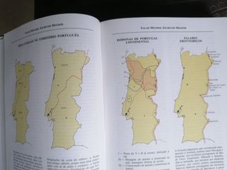 falar melhor , escrever melhor 1991