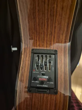 Alhambra 5p electrificada cutaway con funda