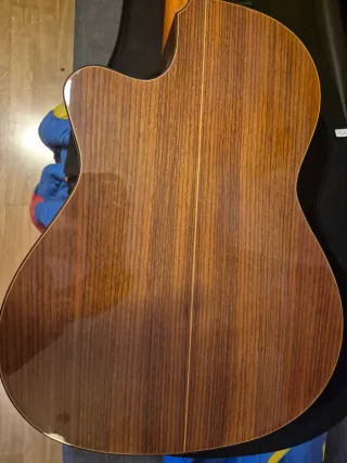 Alhambra 5p electrificada cutaway con funda