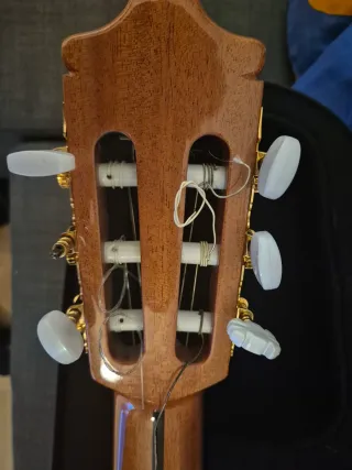 Alhambra 5p electrificada cutaway con funda