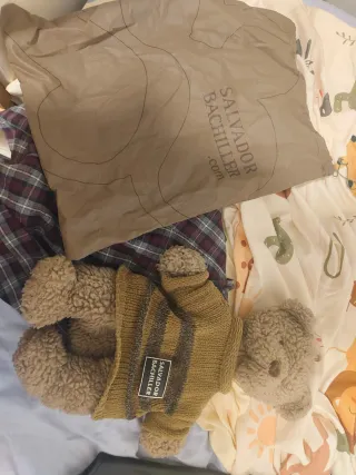 Mochila Teddy Salvador Bachiller