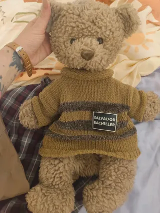 Mochila Teddy Salvador Bachiller