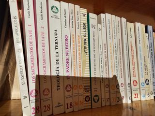 Colección de Libros Teología y Religión Edit AGAPE