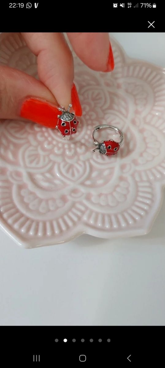 Orecchini Argento S925