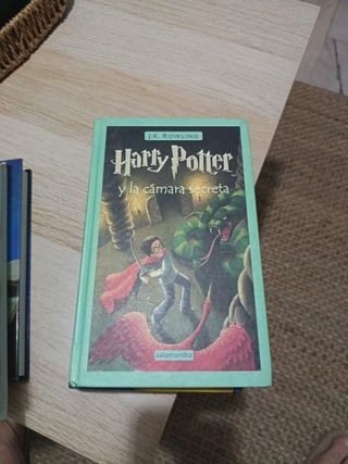 Harry Potter Y La Piedra Filosofal