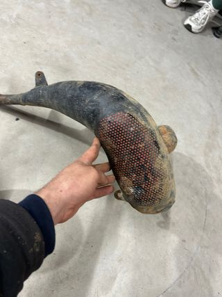 Bufanda Gas Gas EC 250 2001 Original