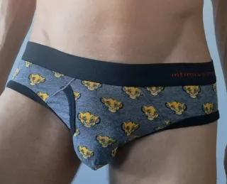 Braguita Intimissimi Estampado Simba Gris