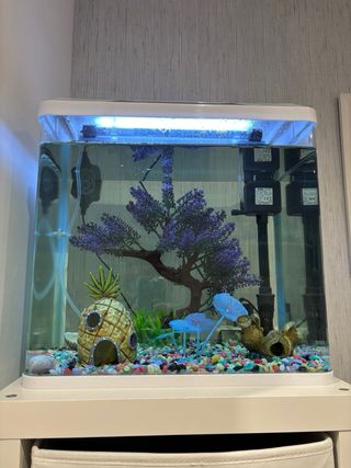 Pecera con filtro y decoración 30 litros