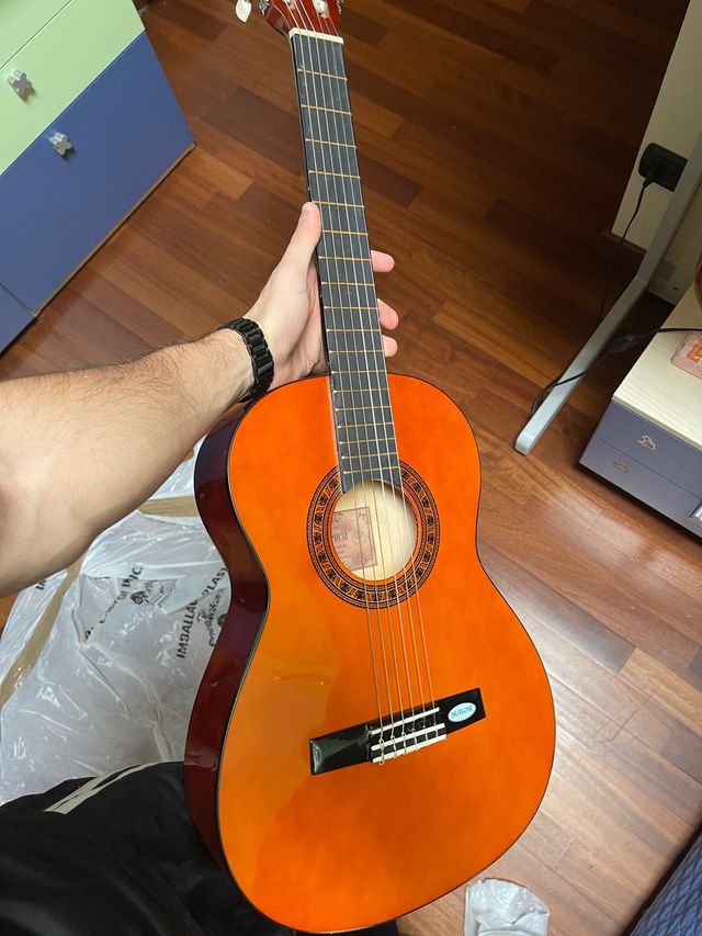 Chitarra con custodia (prezzo trattabile)