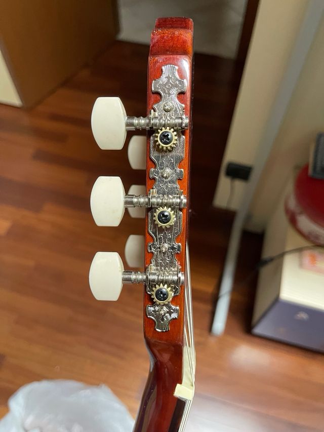 Chitarra con custodia (prezzo trattabile)