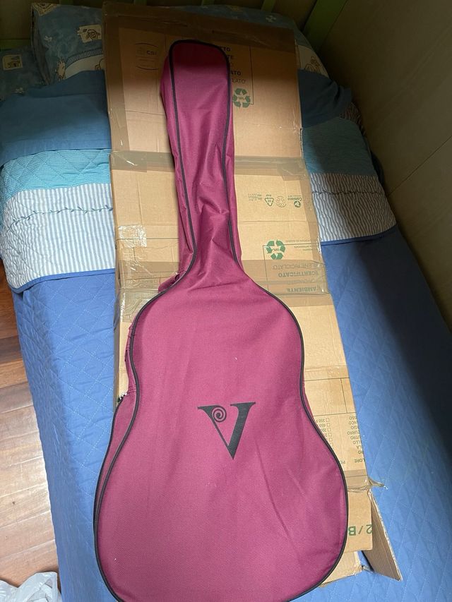 Chitarra con custodia (prezzo trattabile)