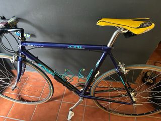 Bicicleta M