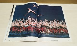 Revistas Photography 1987-1988