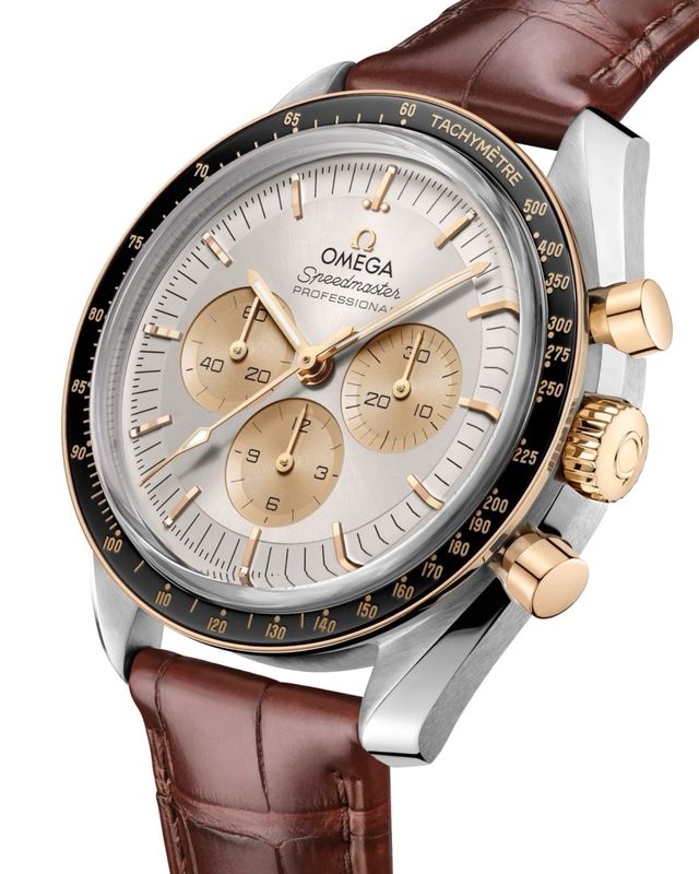 Omega Speedmaster Moonwatch Professional 2025