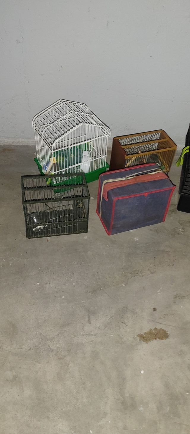 Jaulas para pájaros