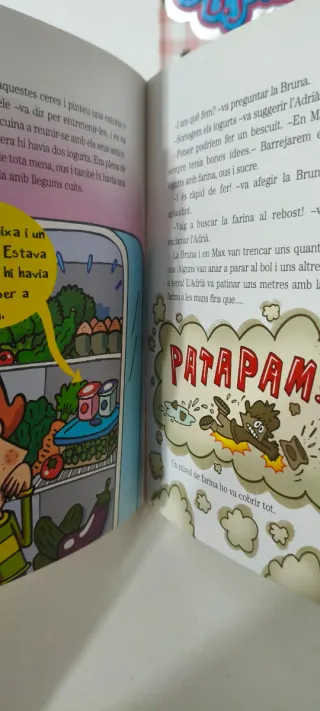 Lote 4 libros en valenciano.