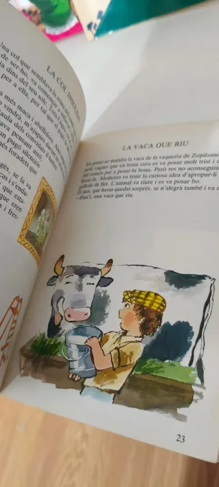 Lote 4 libros en valenciano.