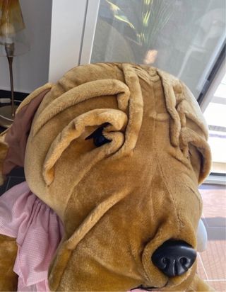 Peluche cane grande