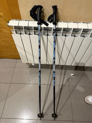 Esquís con bastones