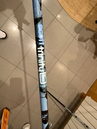 Esquís con bastones