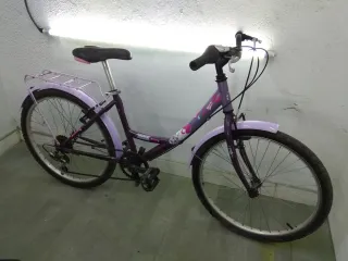 Bicicleta 24 Morada