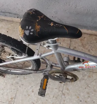 Bicicleta