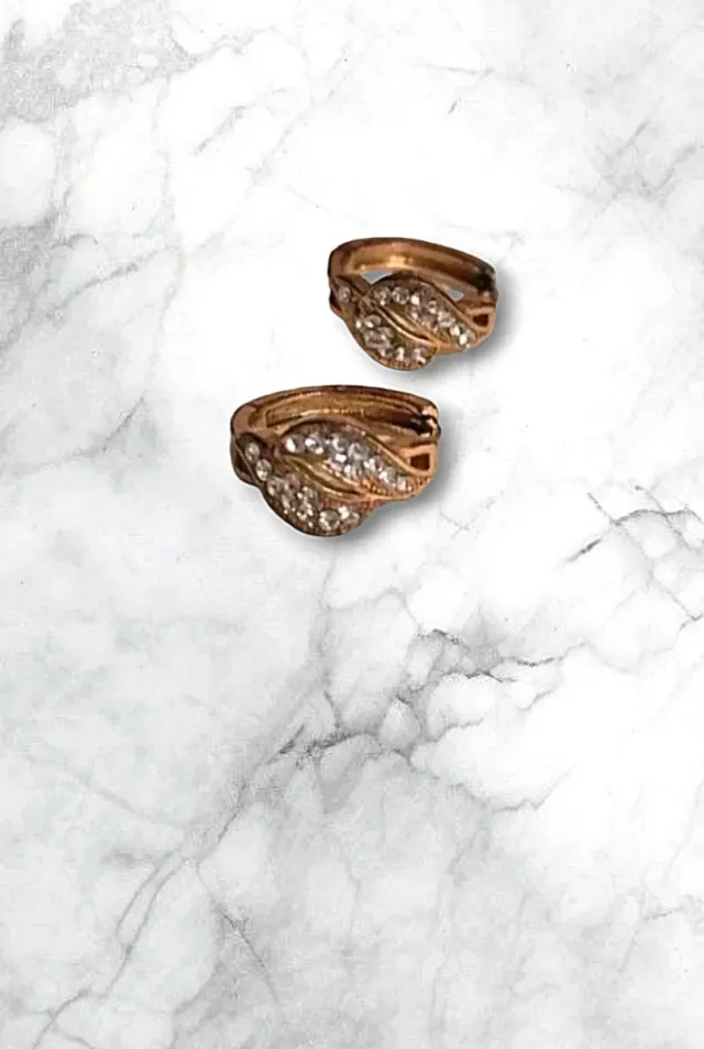 Orecchini acciaio dorato con zirconi