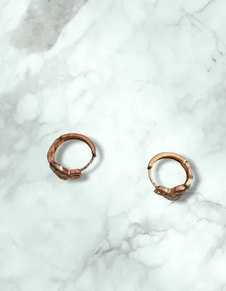 Orecchini acciaio dorato con zirconi