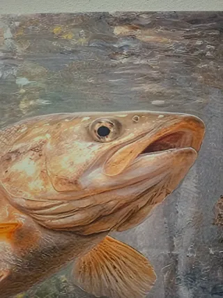 Pittura su tela di pesce 40x30
