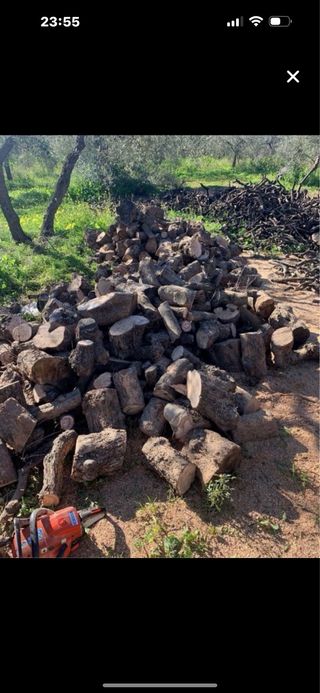 Leña de olivo para chimenea