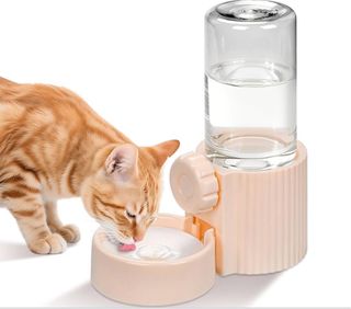 Dispensador de agua para mascotas