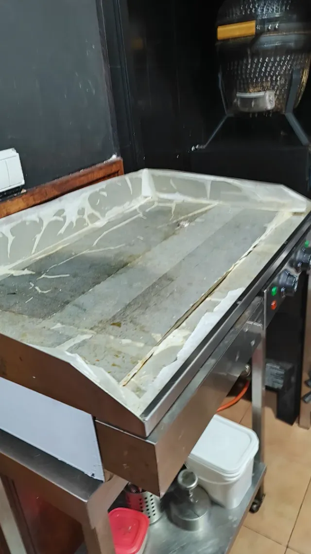 Plancha Eléctrica Profesional