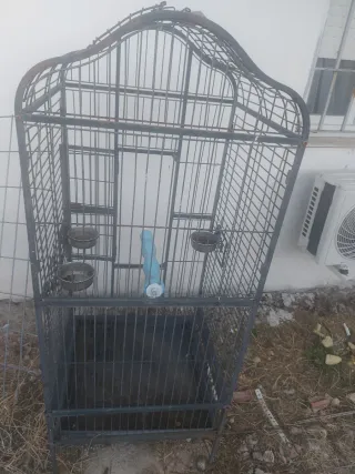 Jaula para loros y guacamayos