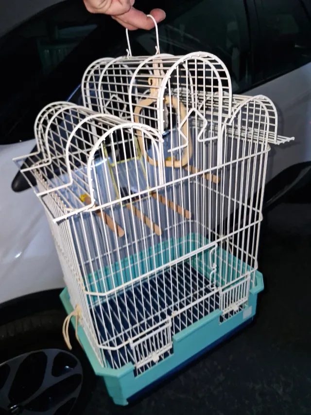 Gabbia per uccelli bianca e turchese