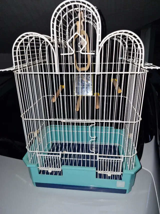 Gabbia per uccelli bianca e turchese