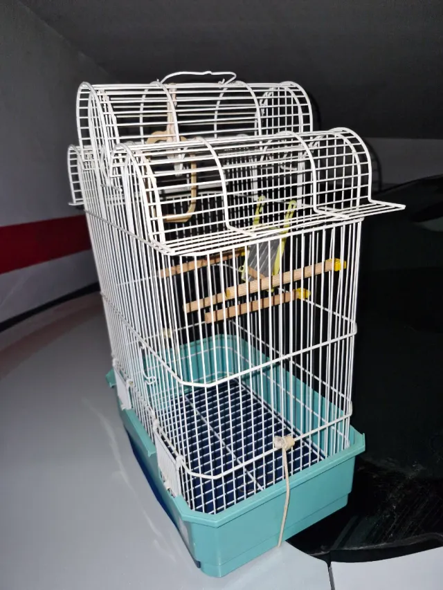 Gabbia per uccelli bianca e turchese