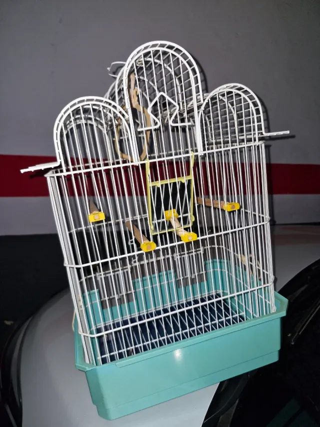 Gabbia per uccelli bianca e turchese