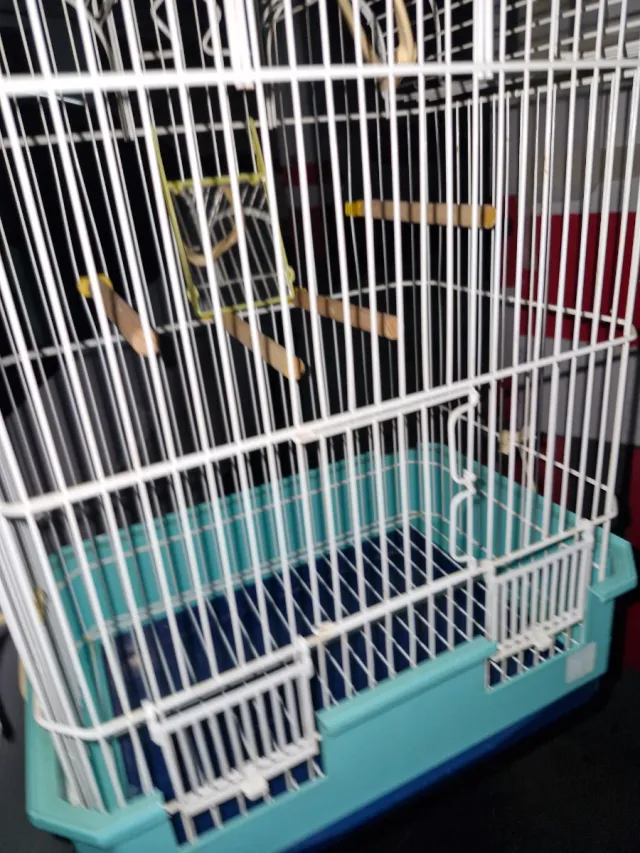 Gabbia per uccelli bianca e turchese
