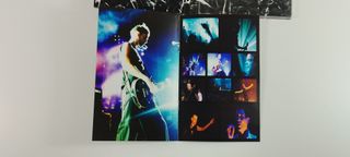 Placebo Soulmates Never Die DVD