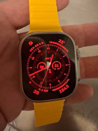 Apple Watch Ultra 1ª Gen Titanio
