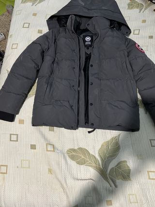 Chaqueta Canada Goose Gris