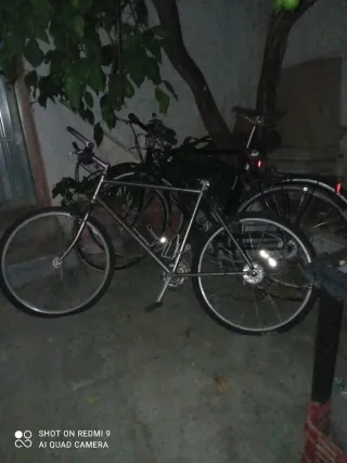 Bicicleta de montaña plateada