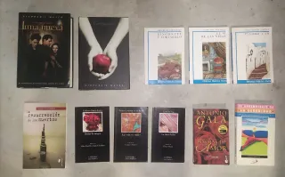 Libros poetas y libros de lectura tranquila 4€/ud